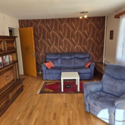 Tapezierarbeiten Wohnzimmer Rückwand